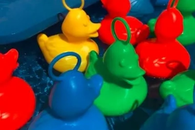 Pêche aux canards