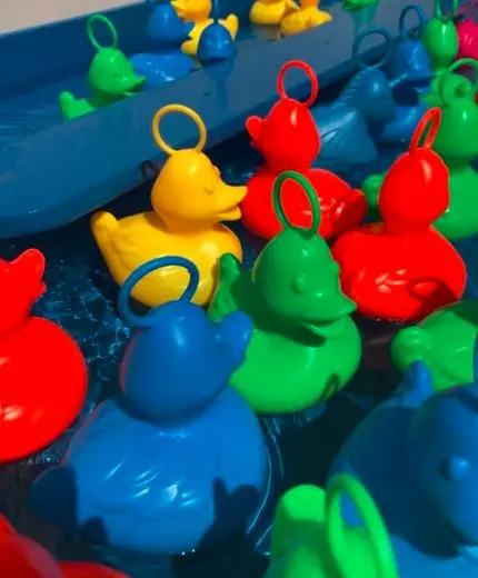 Pêche aux canards